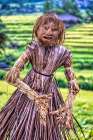 Jatiluwih Rice Terrace is a stunning UNESCO Site, located in the Tabanan Regency of Bali, Indonesia Landscape Print